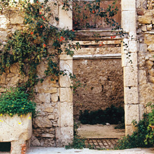 Planter And Doorway, Syracuse, Sicily