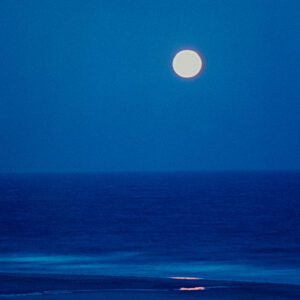 Blue Moon, Biddeford Pool Maine, photograph