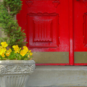 Red Door and Yellow Flowers, Philadelphia