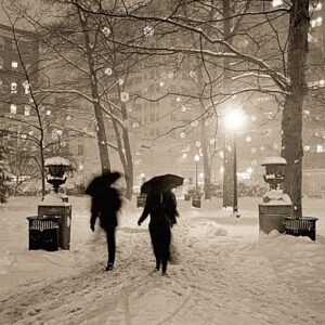 Umbrellas in Snow, Rittenhouse Square, Philadelphia, photograph