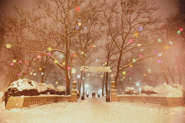 Luminaire In The Square, Rittenhouse Square, Philadelphia, photograph