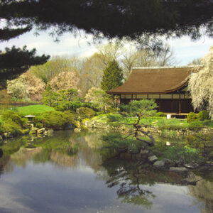 Japanese house spring