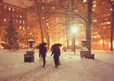 Umbrellas in Snow